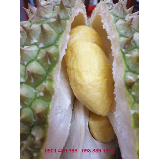 Bột Sầu Riêng