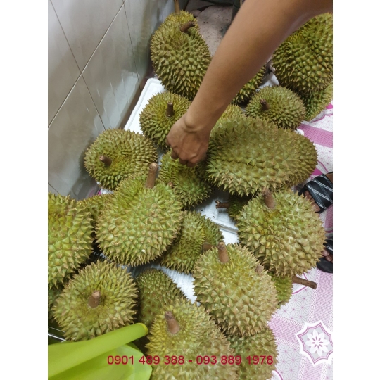 Bột Sầu Riêng