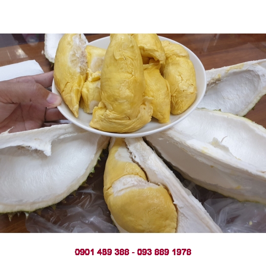 Bột Sầu Riêng