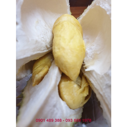 Bột Sầu Riêng